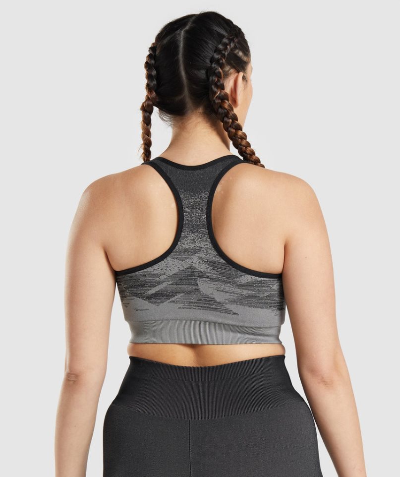 Women's Gymshark Adapt Ombre Seamless Sports Bra Black | CA ADN071